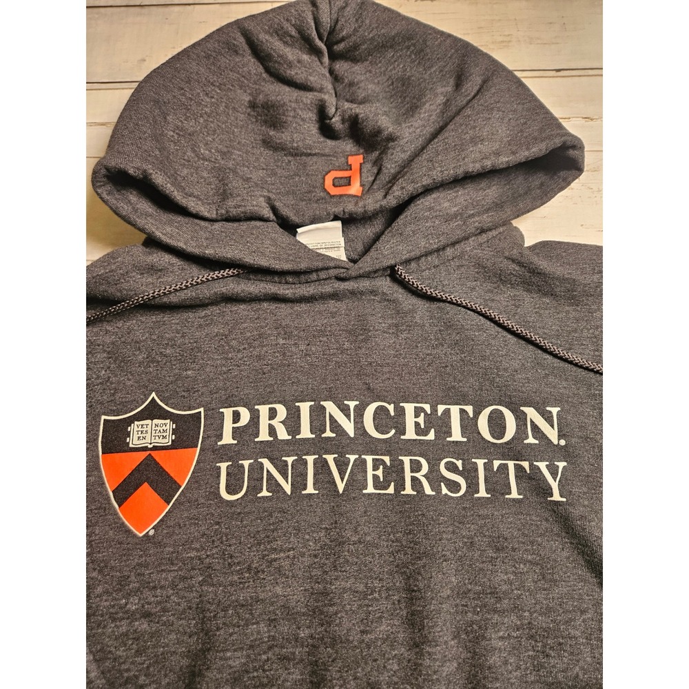 Champion Princeton University Hoodie Mens Medium Gray Pullover Sweatshirt CS2071